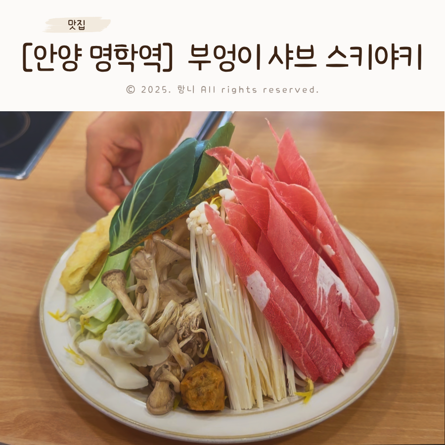 부엉이샤브샤브스키야키 사진 1