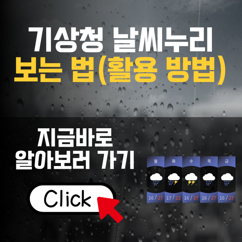 기상청 날씨누리 보는법 총정리(동네예보 확인방법)