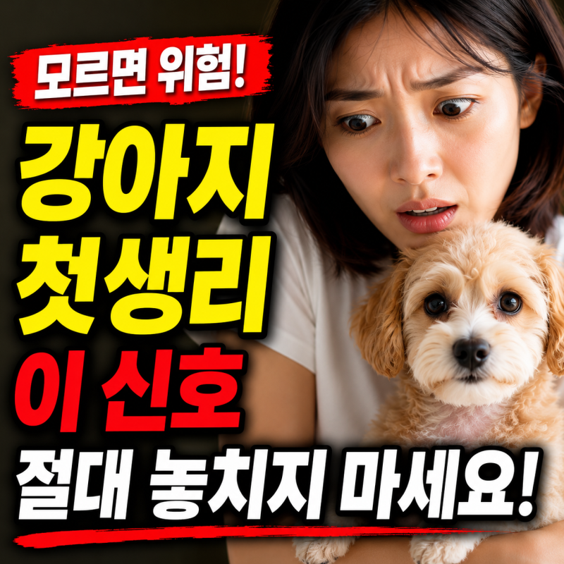 강아지 첫생리, 강아지 생리 기간 주시해야 할 위험 신호들