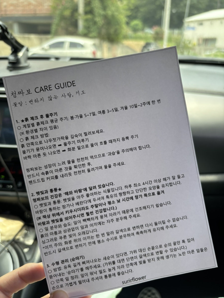 장백꼬치 사진 2