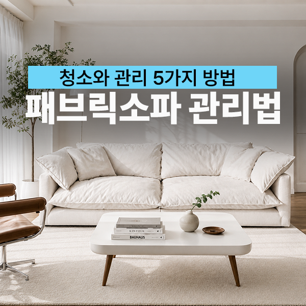 패브릭소파 청소 관리하는 방법 5가지