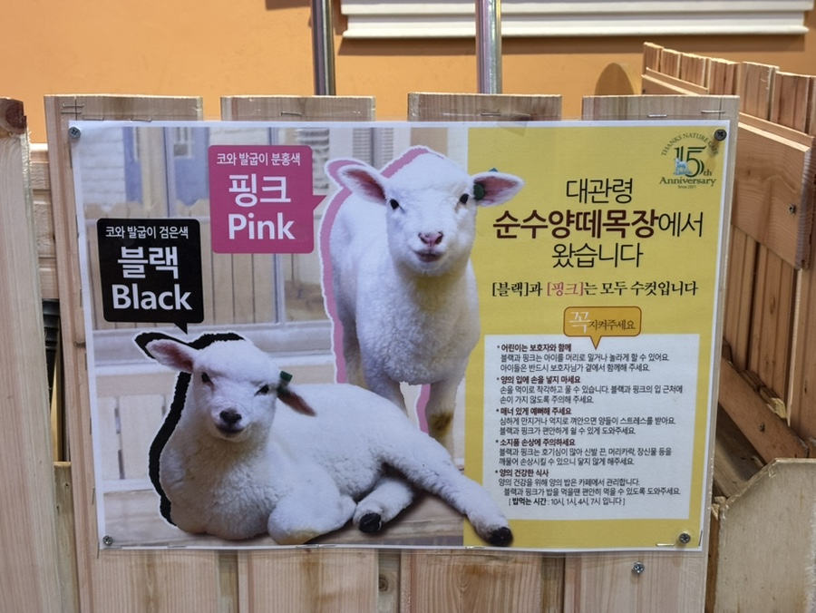 땡스네이쳐카페 사진 5