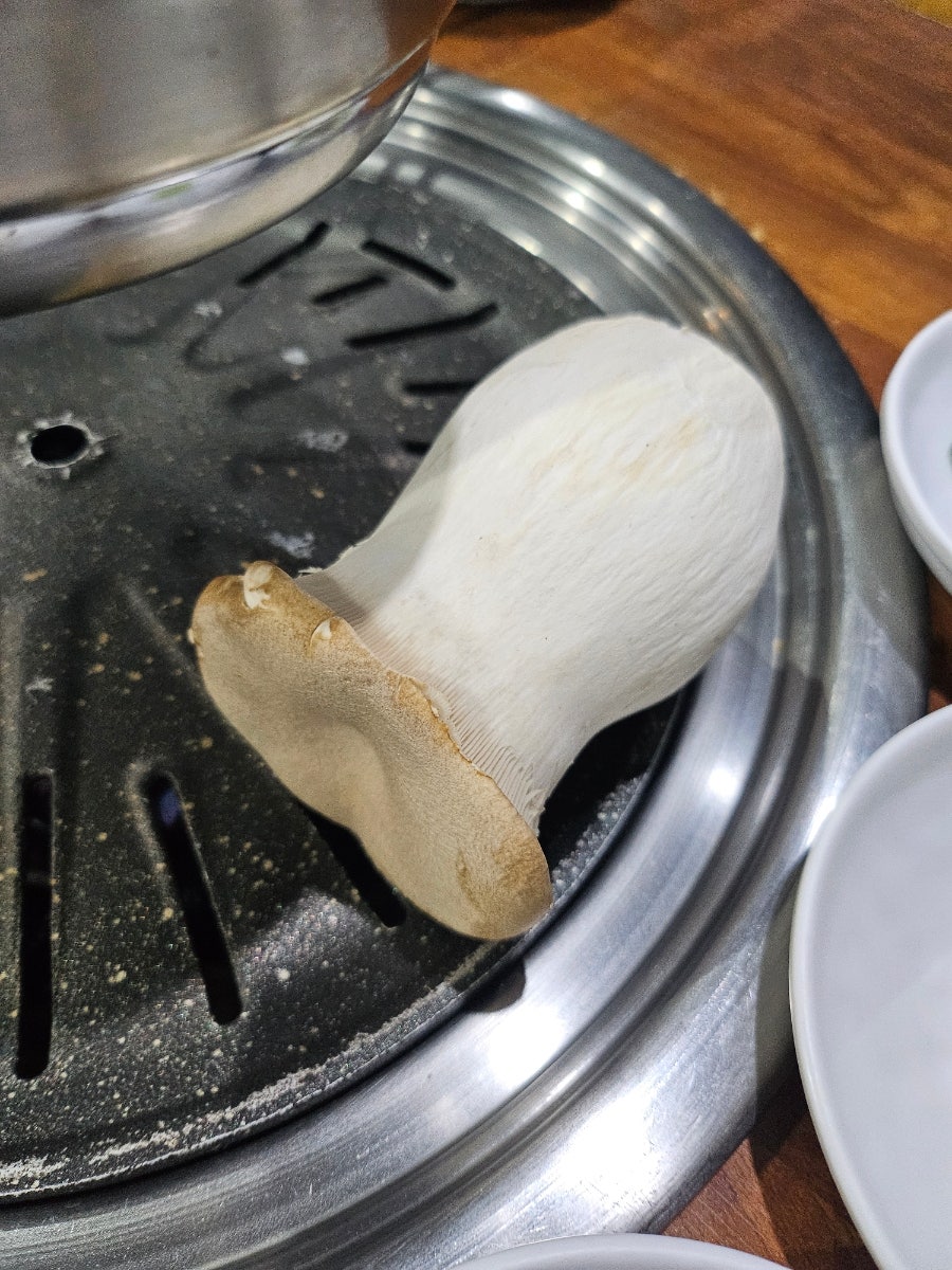 서초집 사진 6