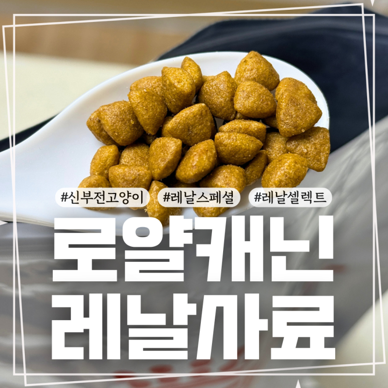 로얄캐닌 레날 스페셜 후기 신부전 고양이 사료 셀렉트와 차이점 정리