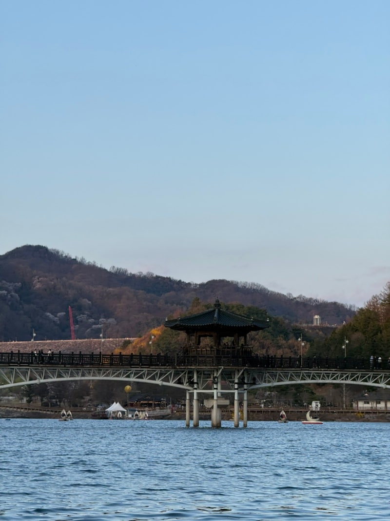 [안동여행] 안동 월영교 야경 볼거리, 월영교 월영보트 후기, 월영교 분수시간, 안동 가볼만....