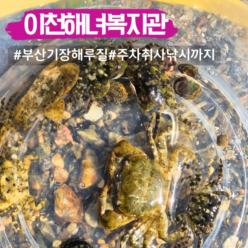 부산 기장 해루질 포인트 이천해녀복지관 물때 주차 취사 낚시 가능한곳