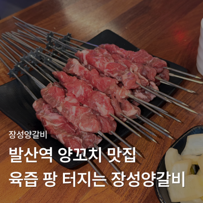 발산역양갈비 육즙 가득했던 장성양갈비