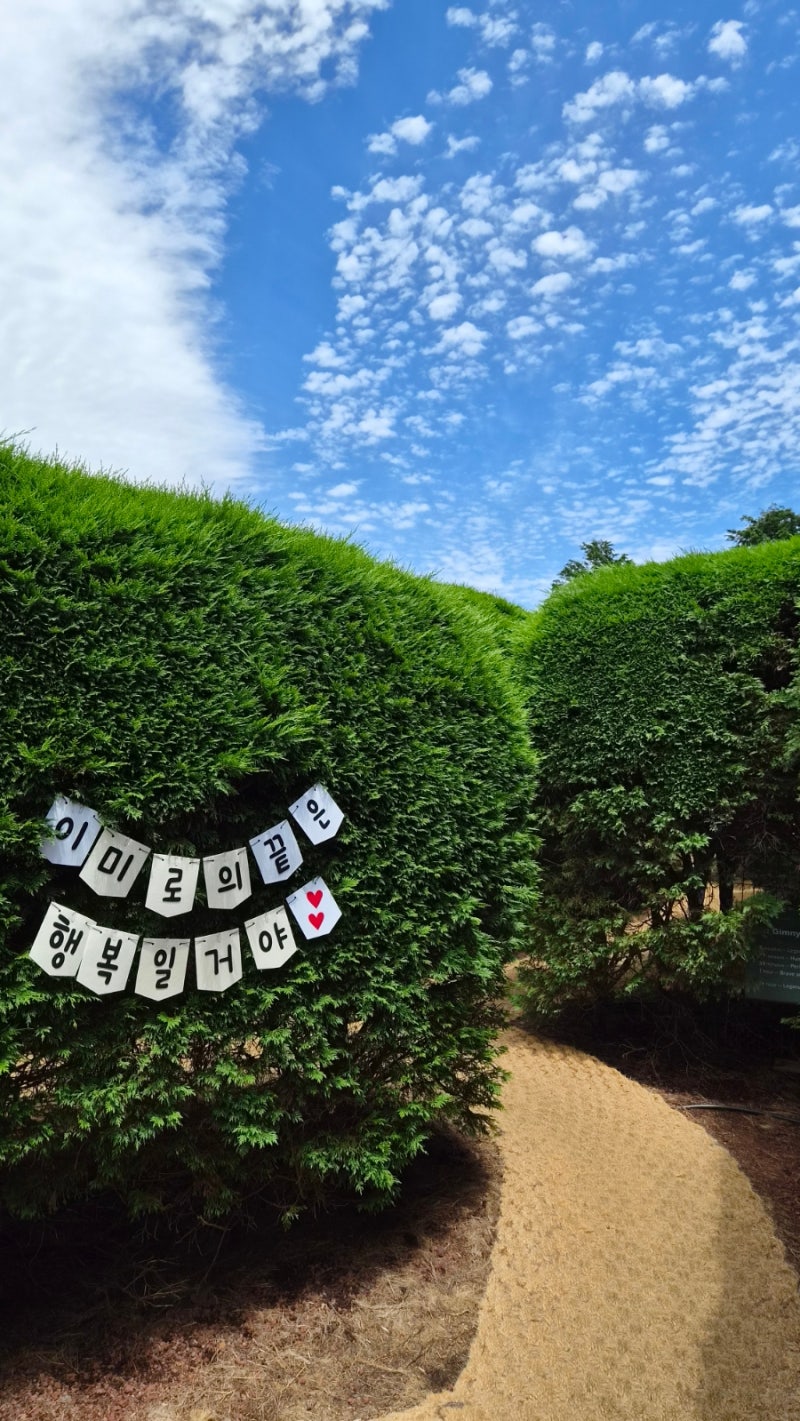 김녕미로공원 동쪽 제주도여행 아기&아이랑 가볼만한곳 (입장료 포인트 혜택·주차·유모차, ....