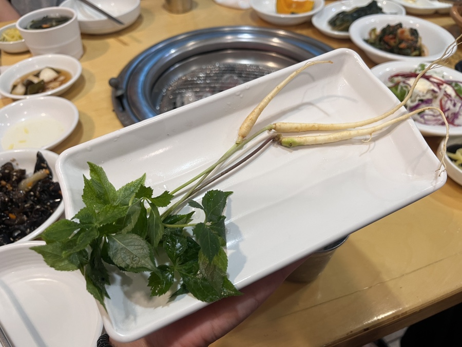 일미 사진 5