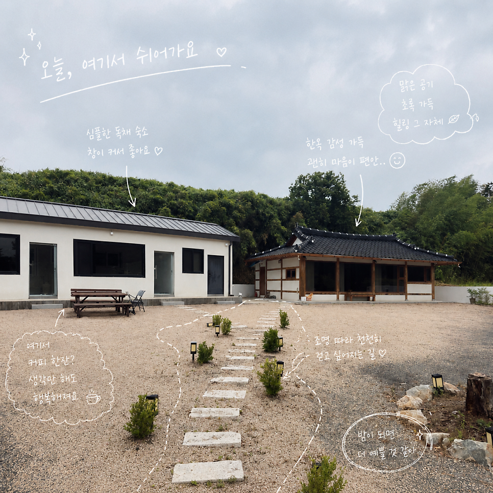 문동담박 사진 1