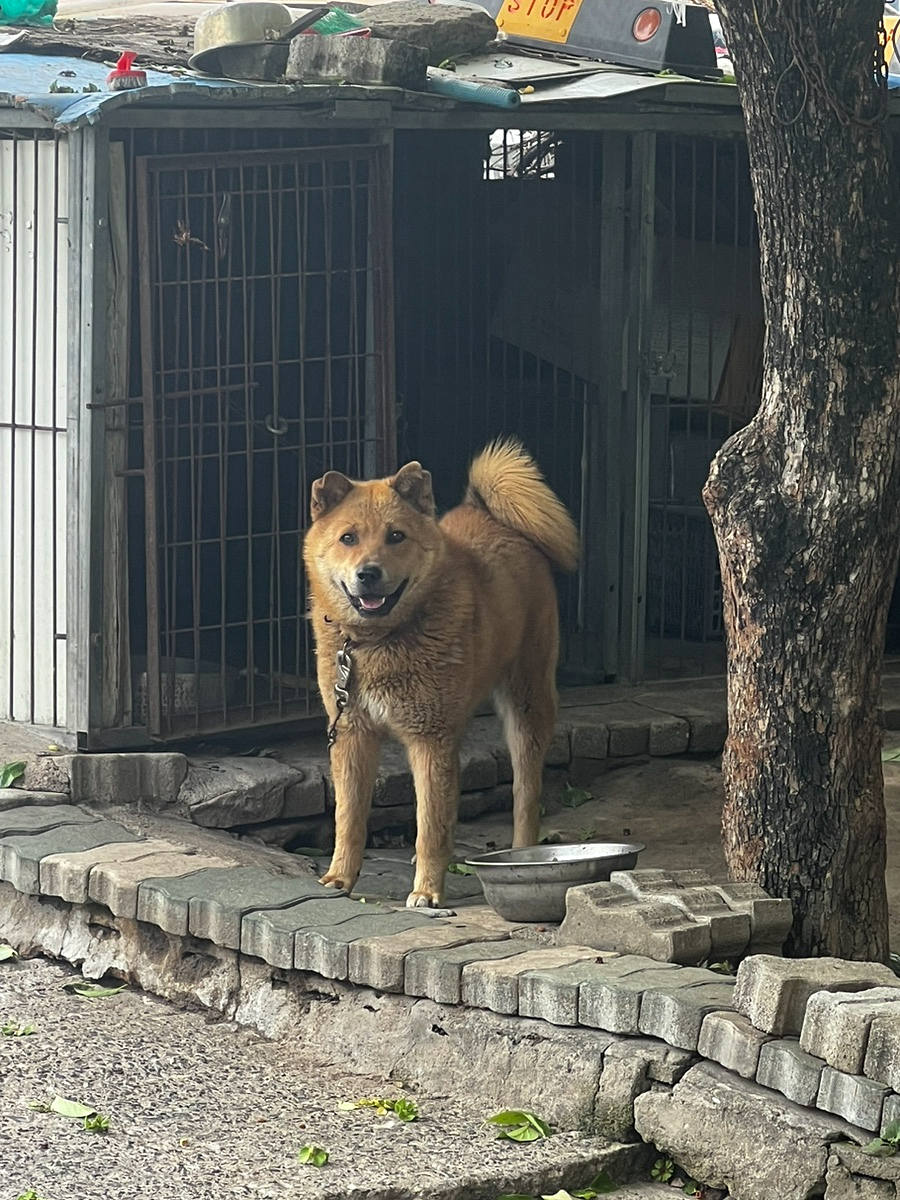 영동중화요리 사진 3