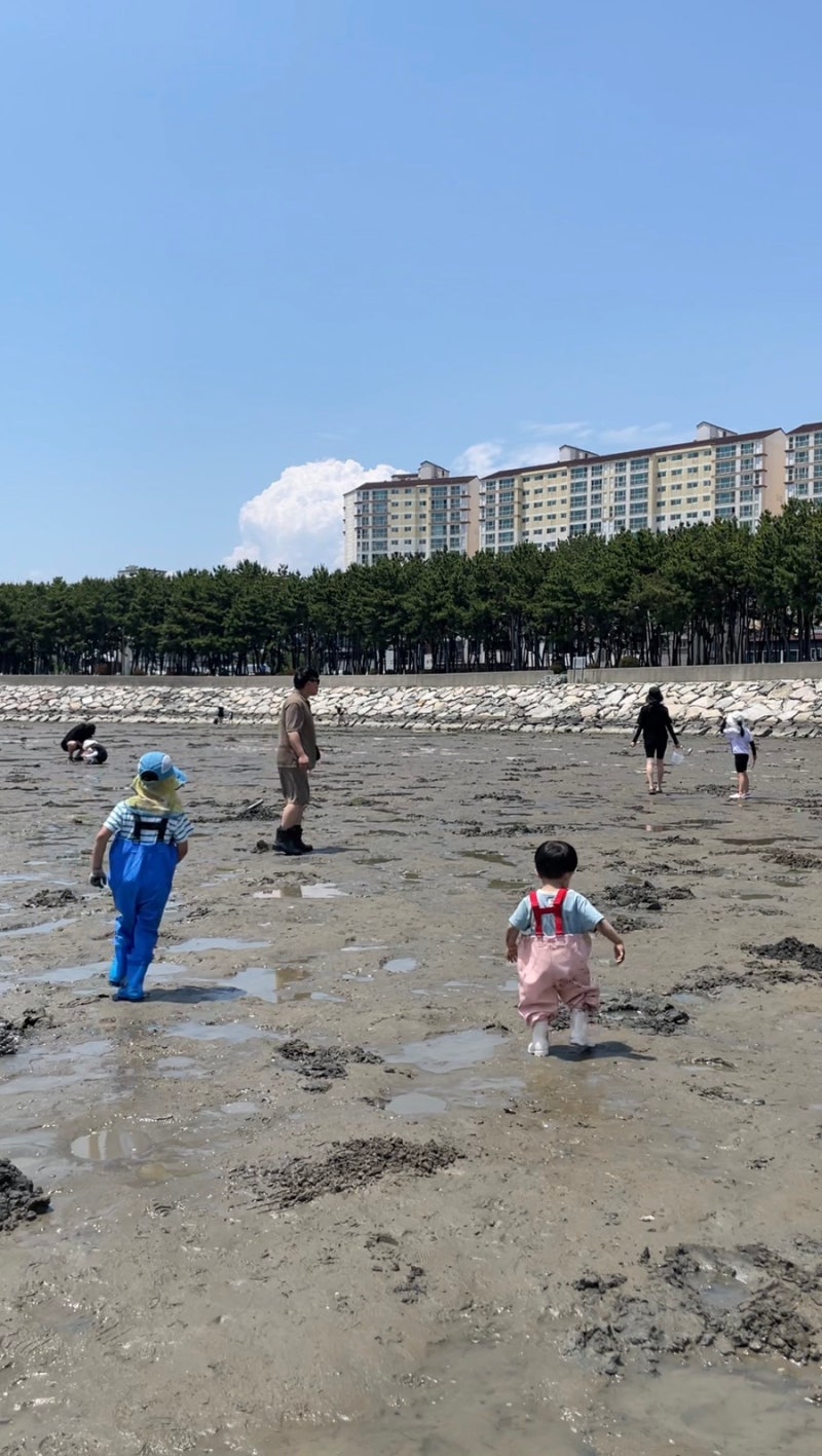 부산 경남 아이랑 명지 소담공원 갯벌체험 해루질 물때 준비물 주차 꿀팁