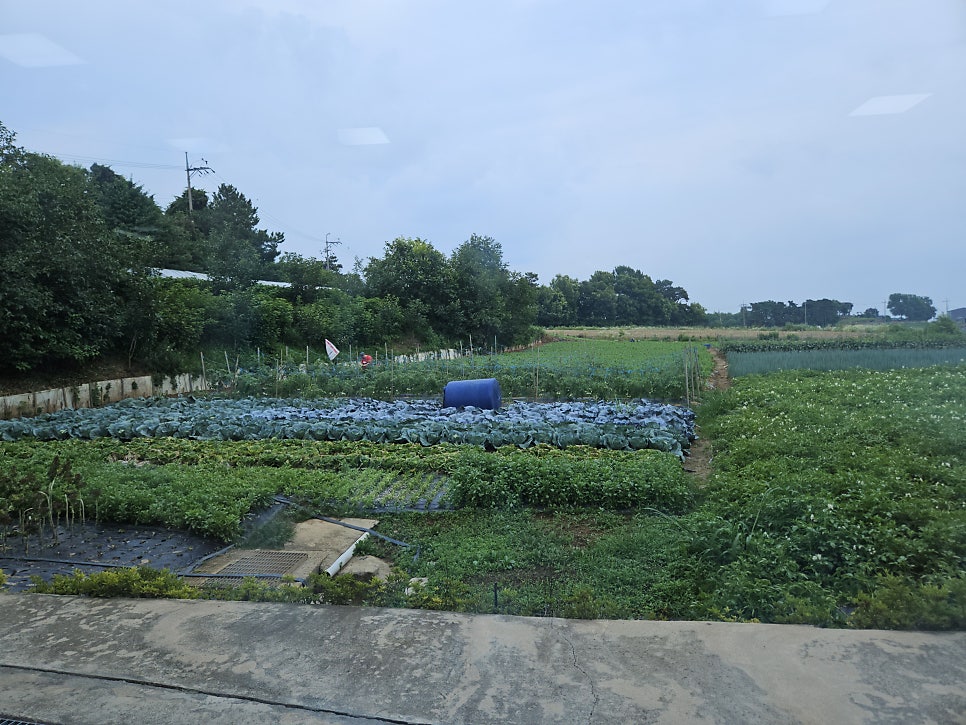 청명정 사진 6