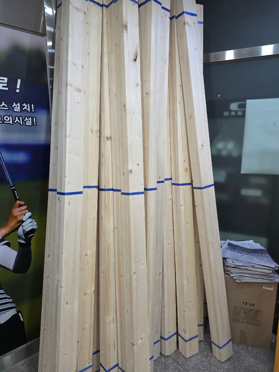 미송 사진 3