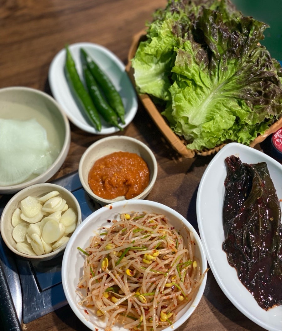 돈돼지 사진 5