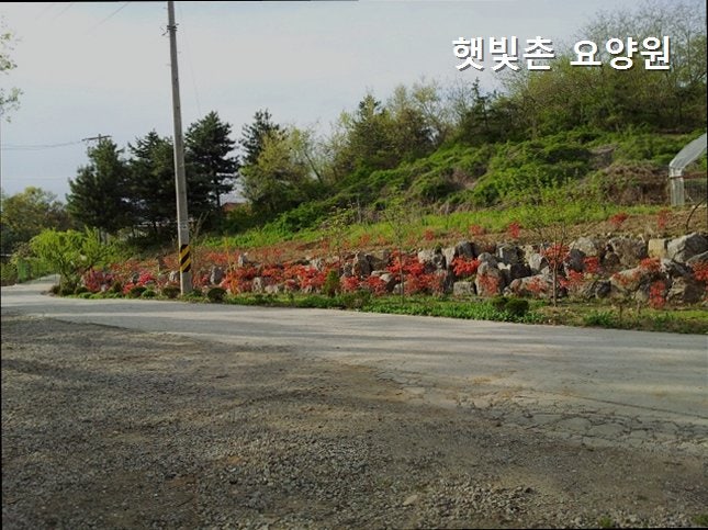 햇빛촌 사진 5