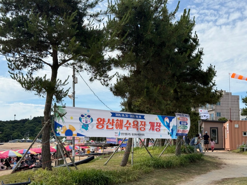 2026 왕산해수욕장 개장｜이용요금·주차꿀팁·준비물 정보