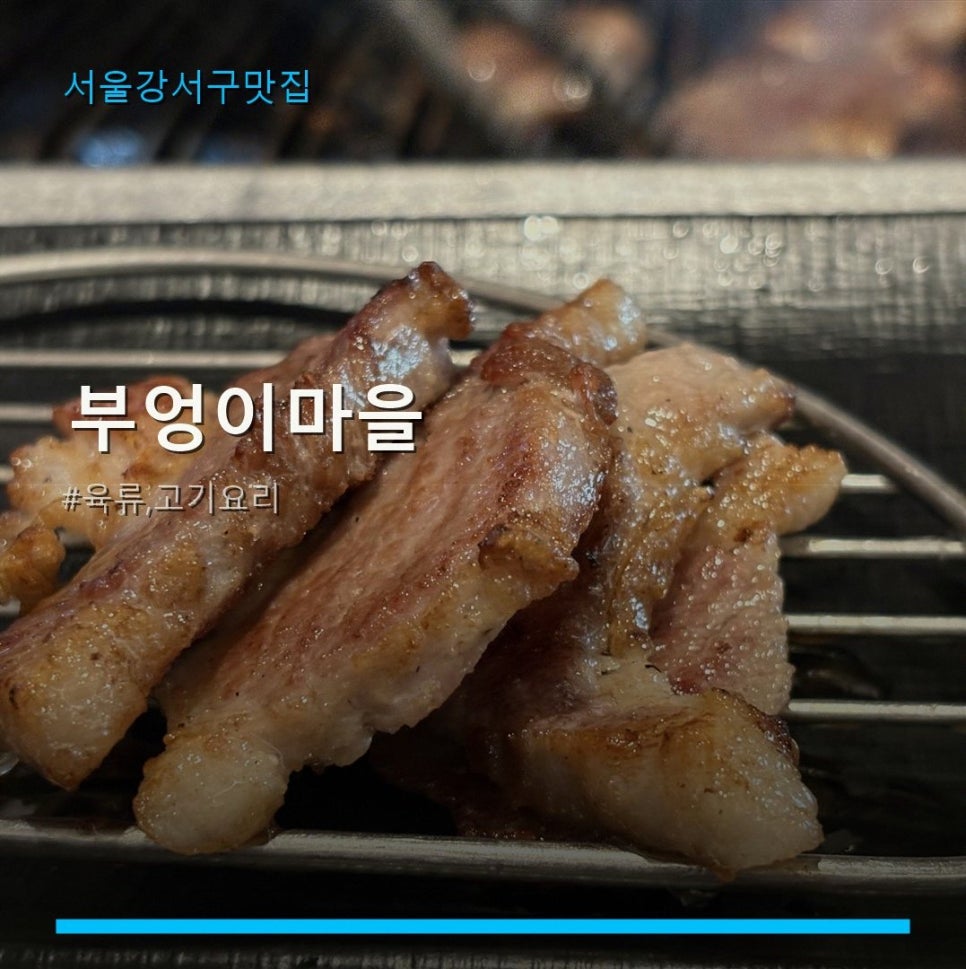 부엉이마을 사진 1