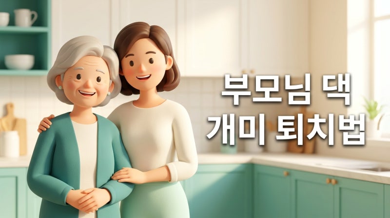 실내 개미 퇴치법과 예방 습관, 눈에 안 보이게 여왕개미까지 싹 없애는 안전한 방법 3가지