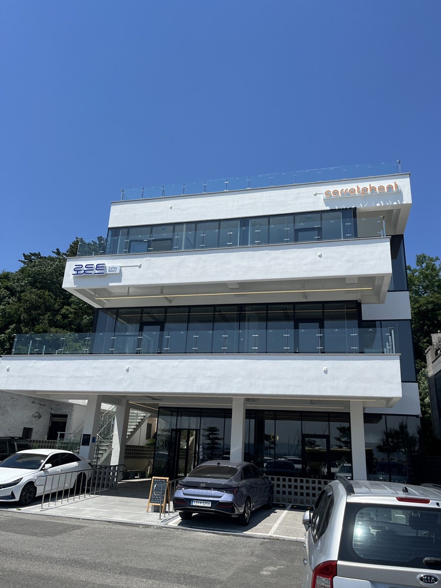 로든트 사진 1