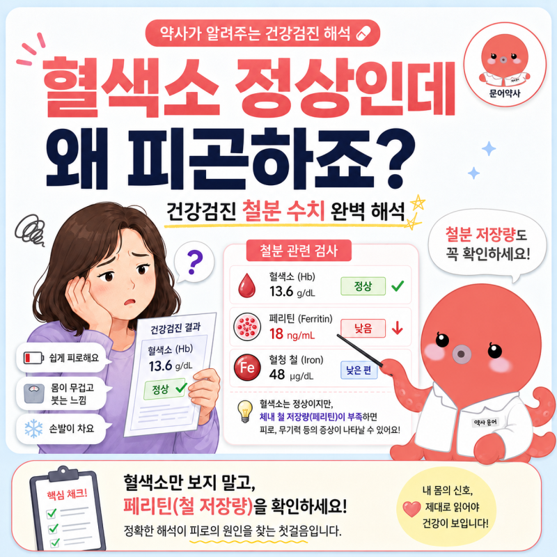 MCV 수치 뜻과 높으면·낮으면 신호 | 페리틴·헤모글로빈까지 철분 검사 완벽 해석