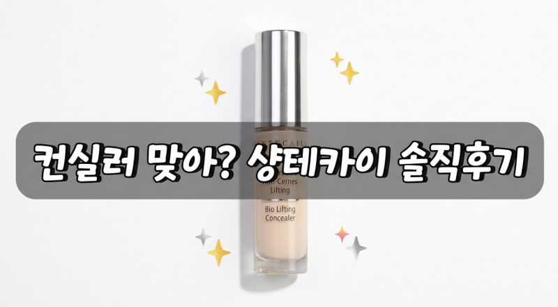 샹테카이 바이오 리프팅 컨실러 후기 - 샤넬·맥·프라다 컨실러 비교와 7시간 지속력