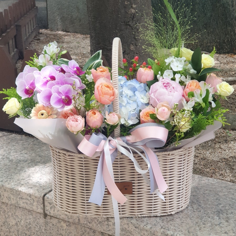 작약 사진 2