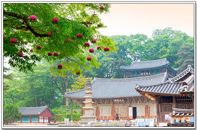 귀빈가든 사진 5