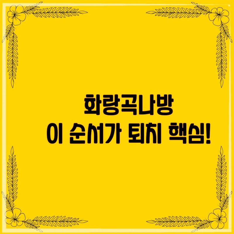 화랑곡나방 퇴치법｜집에서 생기는 이유부터 없애는 방법까지