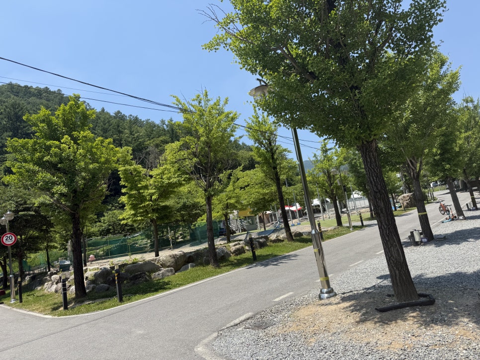 옥전캠핑장 사진 5