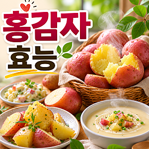 홍감자 효능 보관방법 칼로리 부작용 제철 홍감자로 만들 수 있는 요리는 무엇인가요