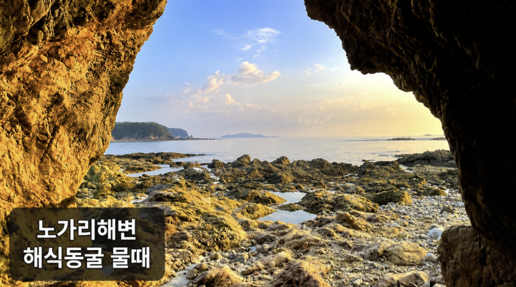 영흥도 노가리해변, 해식동굴 물때와 주차 체크