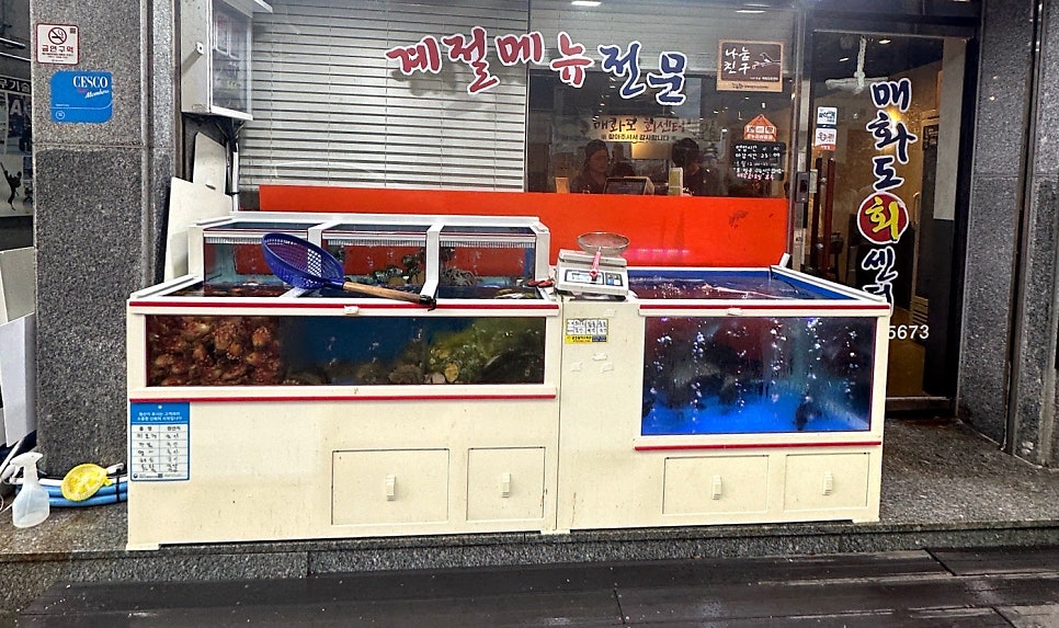 매화도회센터 사진 3