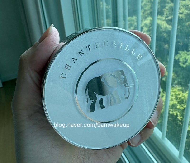 샹테카이 퓨처 스킨 쿠션 알라바스터 사용 후기