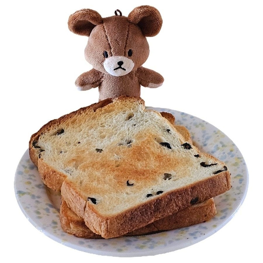 토모루 사진 1