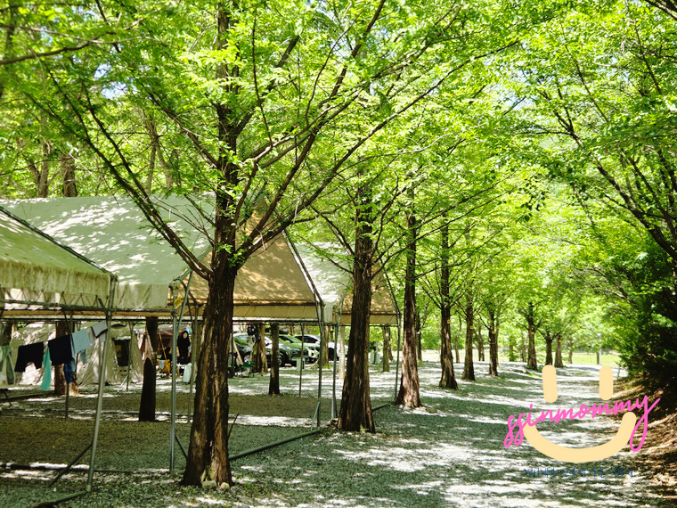원주산노리캠핑장 사진 1