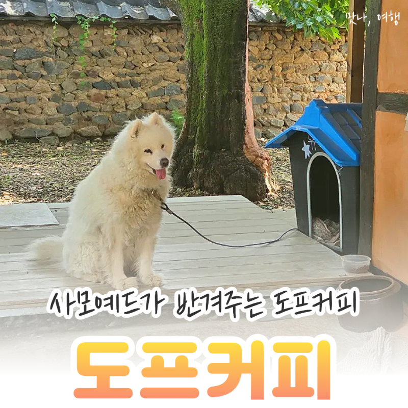 청양 비봉면 한옥카페 찾는다면? 사모예드가 반겨주는 도프커피