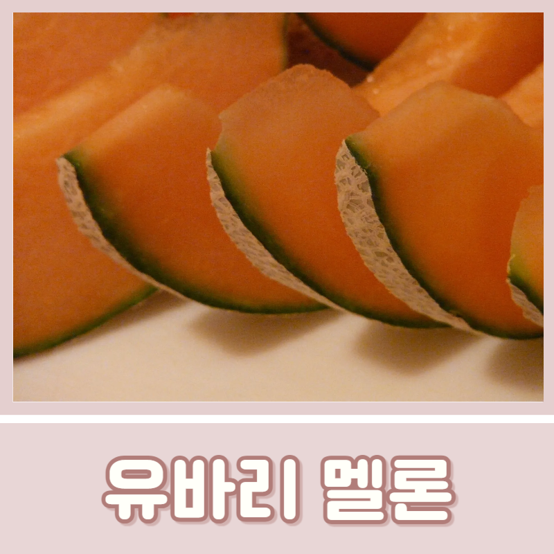 명품 유바리멜론 효능 칼로리 실패 없는 후숙 노하우