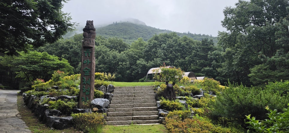 숲속의집 사진 5