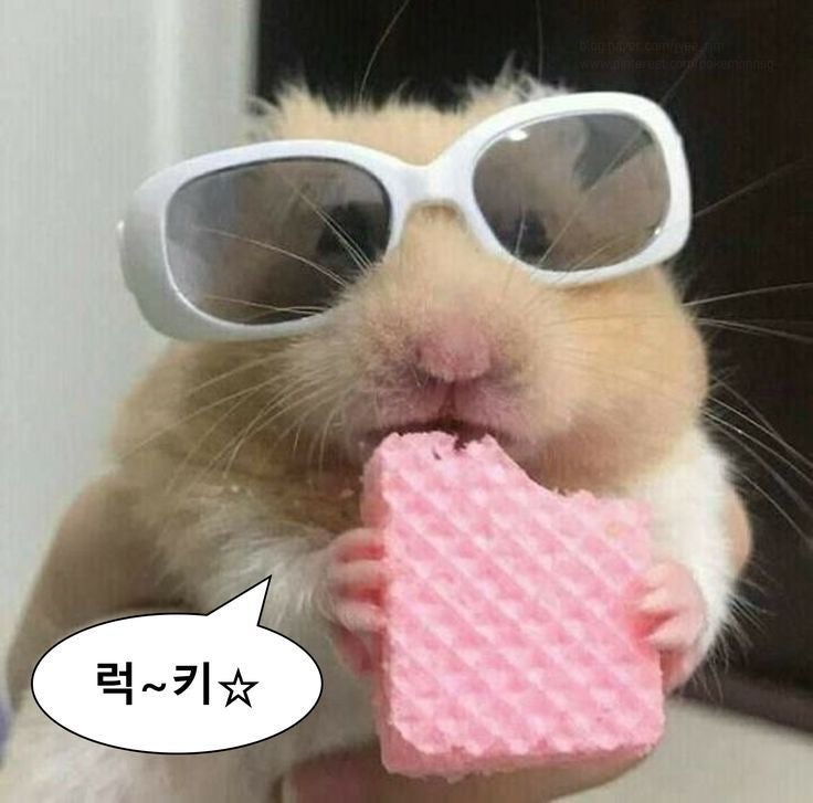 김영화부대찌개 장기점 사진 1