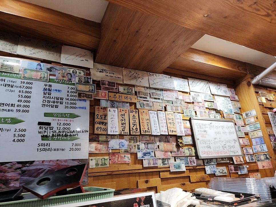 스시경 사진 6