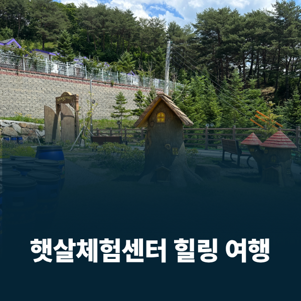 햇살산림치유센터 사진