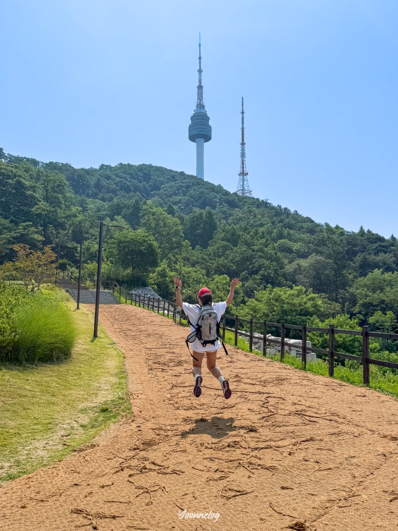 서울 남산 초보 등산 코스 트래킹 명동역 추천