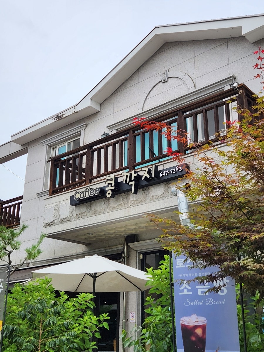 콩깍지 사진 2