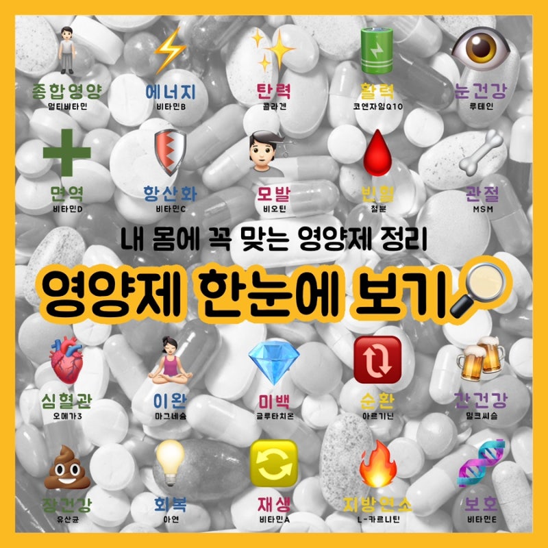 내 몸에 꼭 맞는 영양제 한눈에 보기