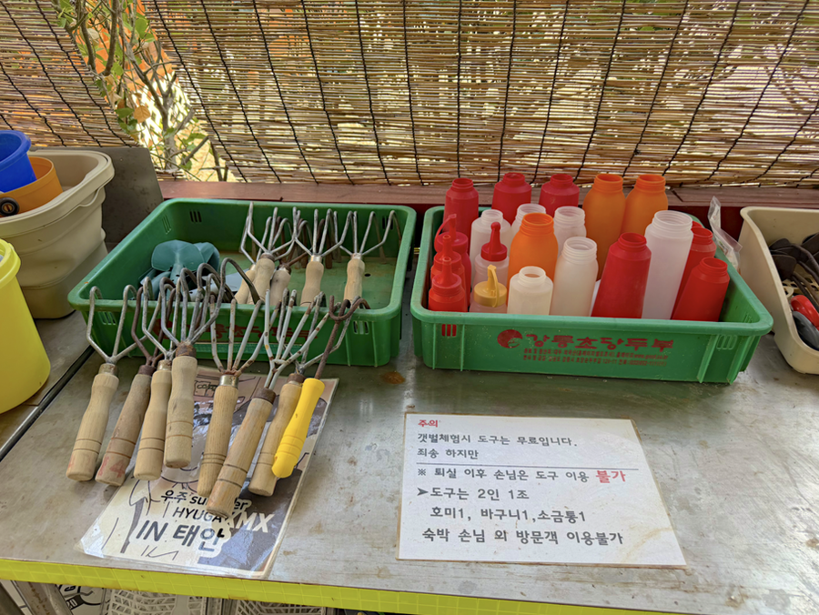 몽산142펜션 사진 3