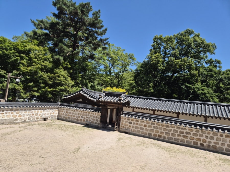 할머니만두국 사진 6
