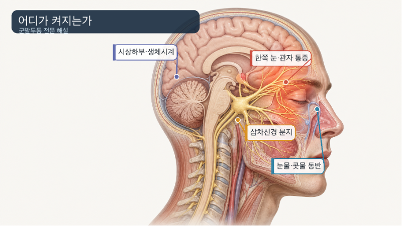 군발두통, 왜 한쪽 눈 뒤가 찢어질 듯 아플까?