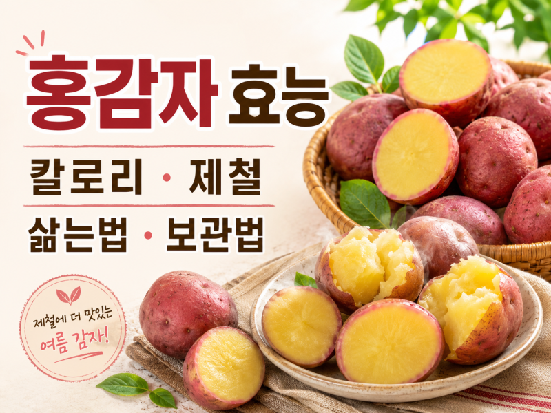 홍감자 효능 칼로리 제철 삶는법 부작용 보관법까지