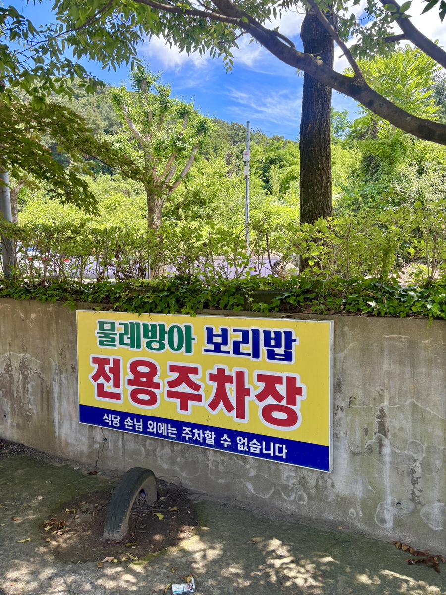 물레방아보리밥 사진 2